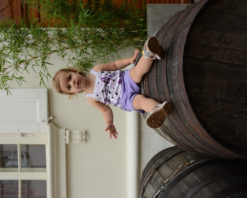 Greta on a wine barrel1